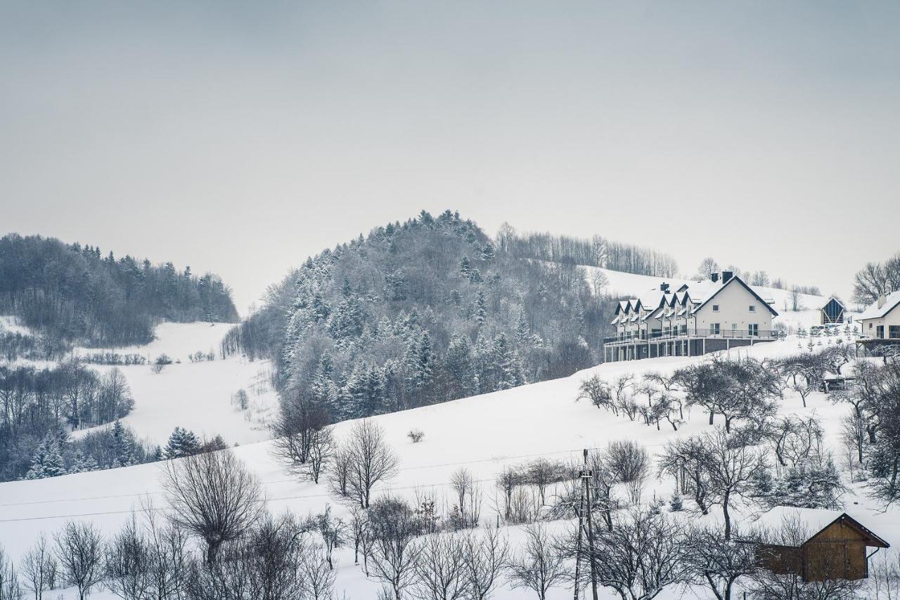 Blizej Nieba Bed & Breakfast Skrzydlna Exterior photo